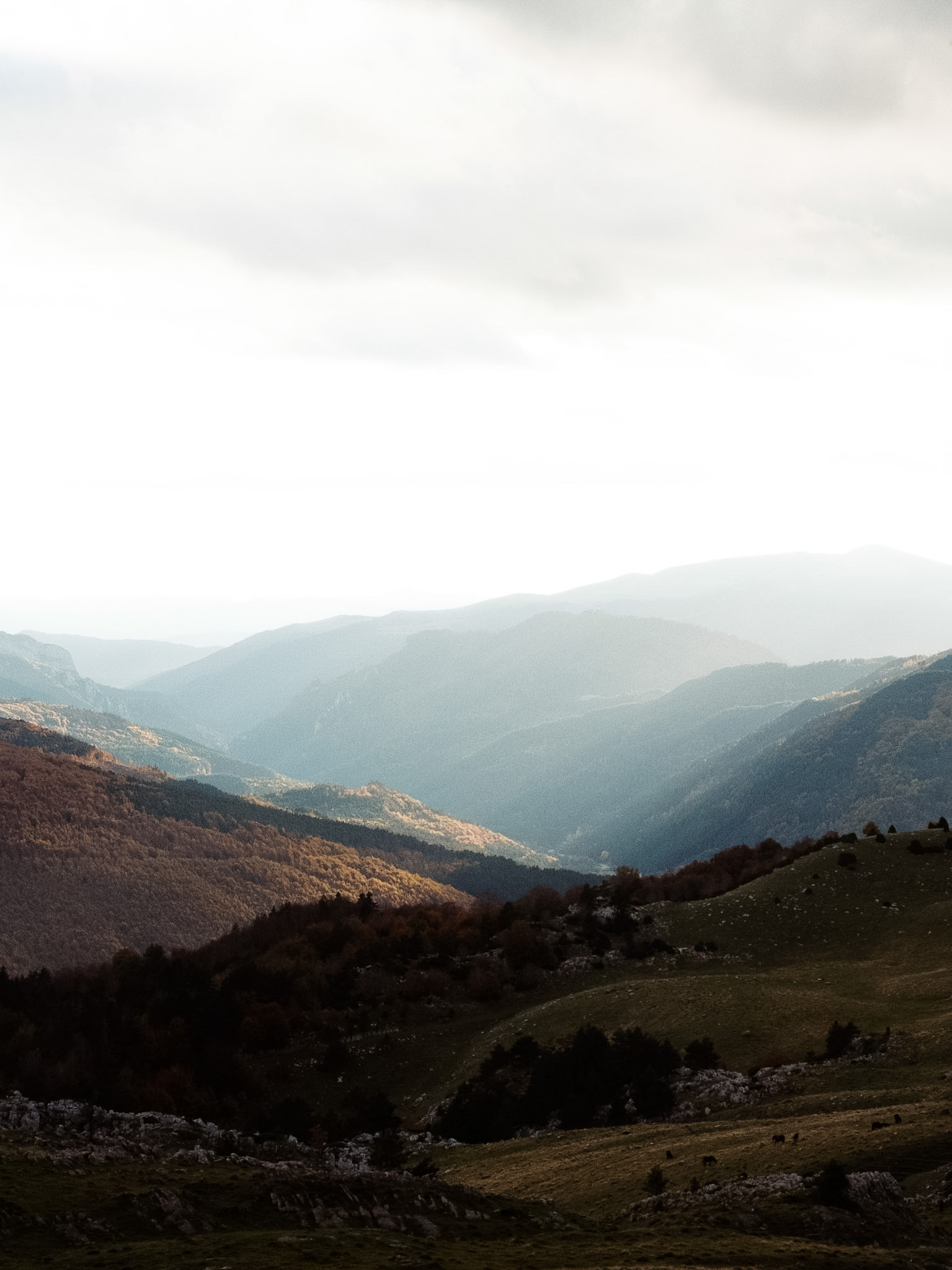 Paysage